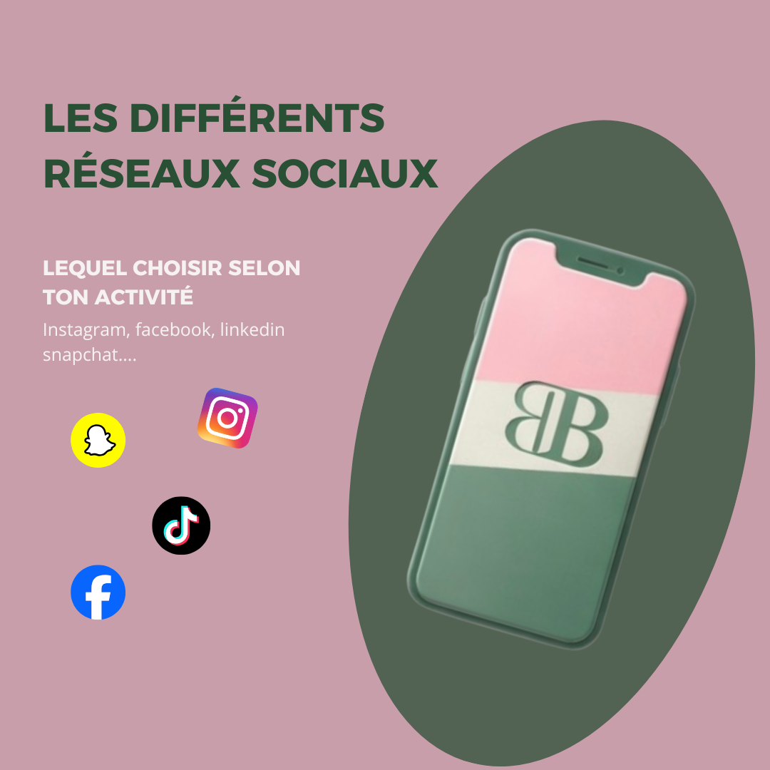 Les différents réseaux sociaux